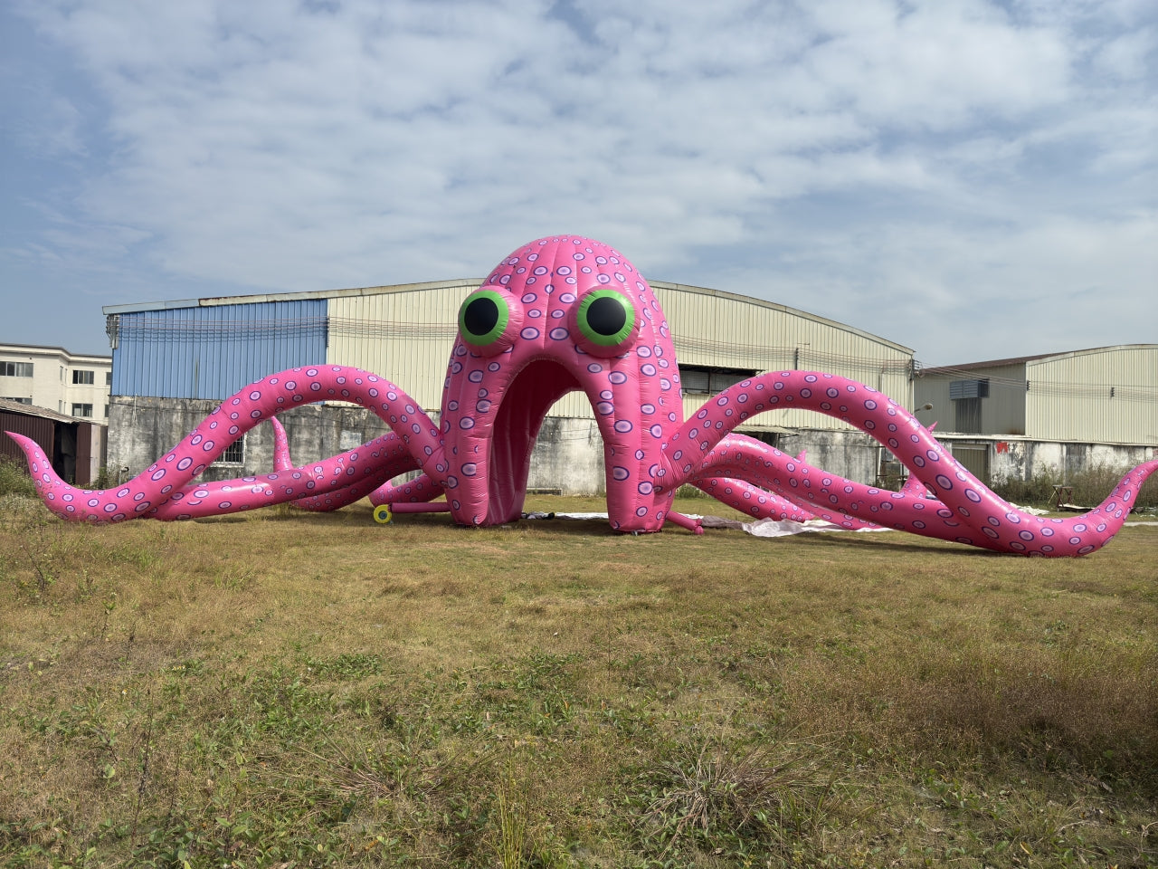 Giant Inflatable Octopus Decoration